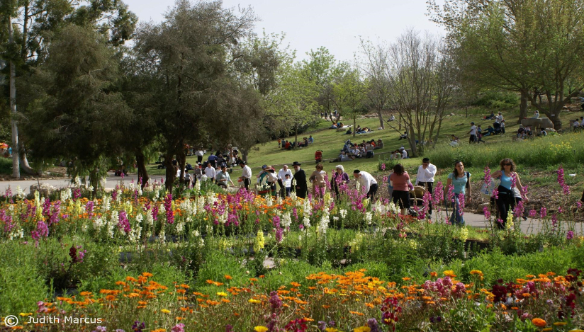 הגן הבוטני ירושלים לגדול